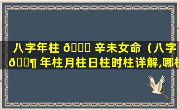 八字年柱 💐 辛未女命（八字 🐶 年柱月柱日柱时柱详解,哪柱最重要）